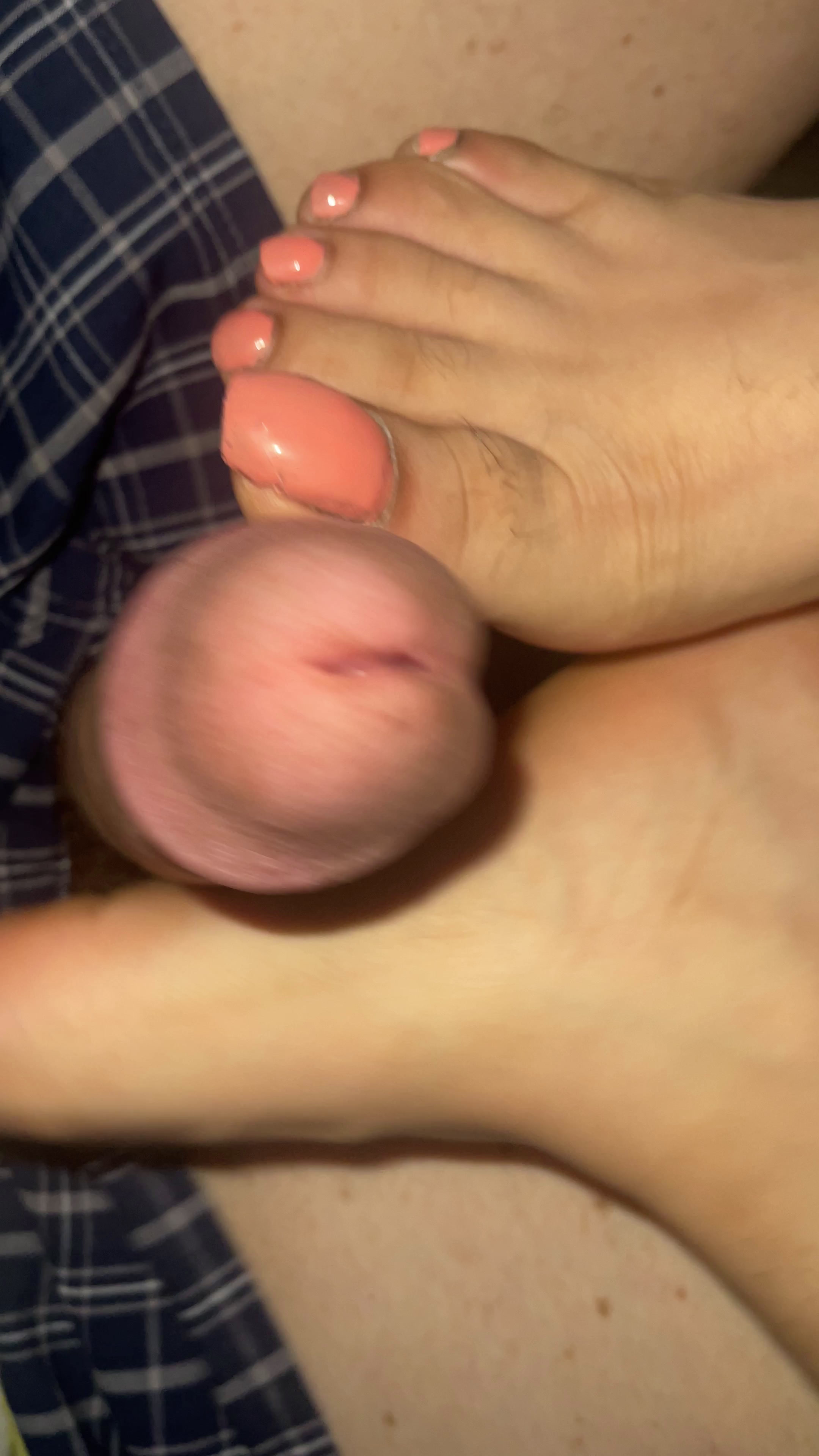 Shef_laflare 3